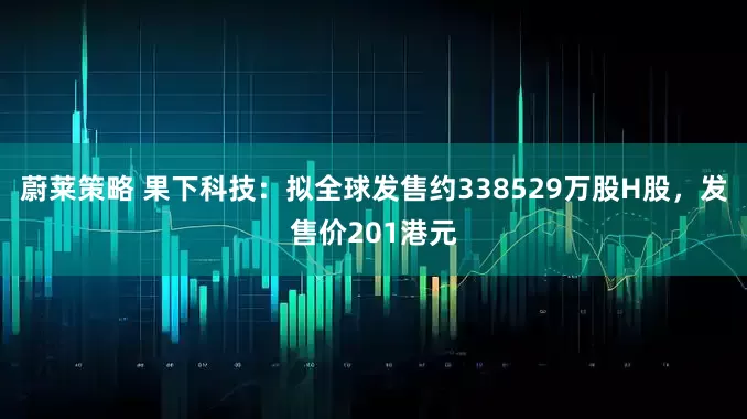 蔚莱策略 果下科技：拟全球发售约338529万股H股，发售价201港元