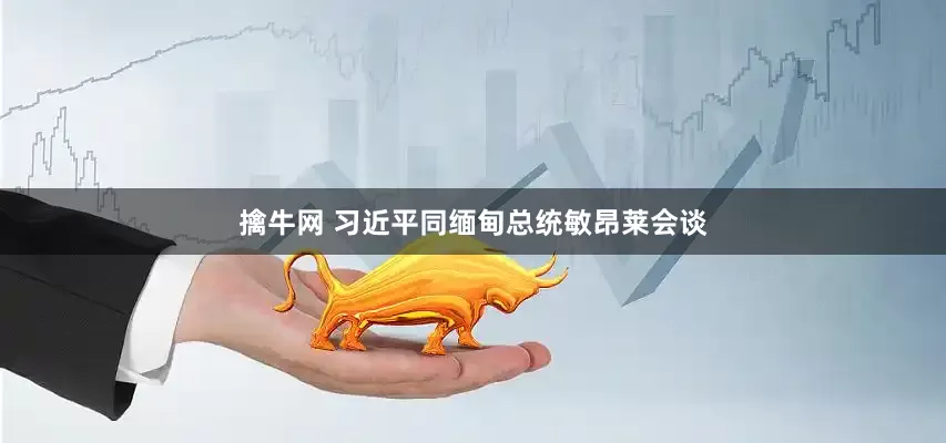 擒牛网 习近平同缅甸总统敏昂莱会谈